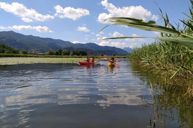 Kayak trip on Adda River North Park - Breaks, swimming, and what to bring