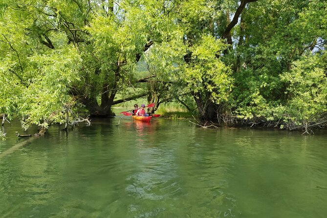 Kayak trip on Adda River North Park - Who should book this Adda River trip?