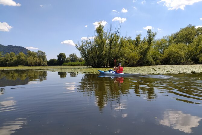 Kayak trip on Adda River North Park - What the guide adds to the experience