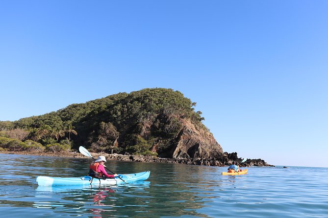 Kayak Turtle Tour from Palm Cove - Key points to know before you paddle
