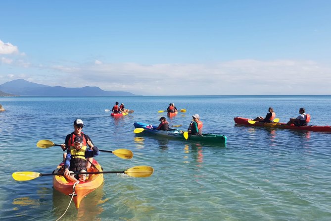 Kayak Turtle Tour from Palm Cove - Why the 7 a.m. start works so well