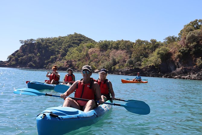 Kayak Turtle Tour from Palm Cove - Mangroves, rays, and the changing route