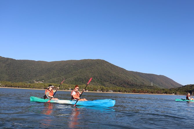 Kayak Turtle Tour from Palm Cove - The limestone cave on a low tide