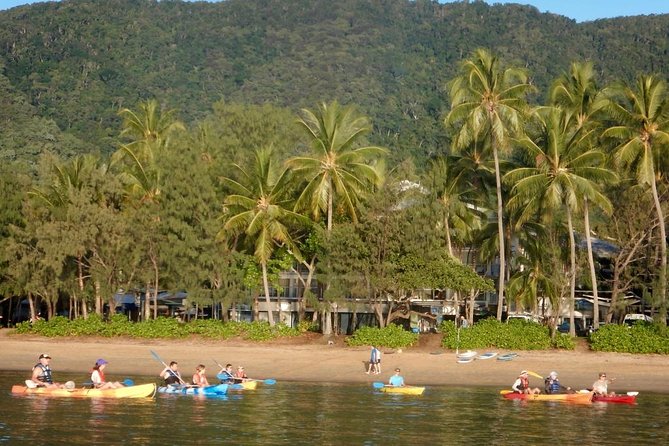 Kayak Turtle Tour from Palm Cove - A beach break with swimming and snorkeling