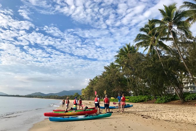 Kayak Turtle Tour from Palm Cove - What the $85.35 price gives you
