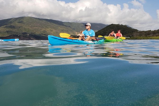 Kayak Turtle Tour from Palm Cove - The turtle stop near Double Island