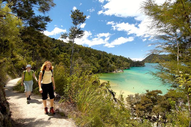 Kayak & Walk - Why This Day Works So Well in Abel Tasman