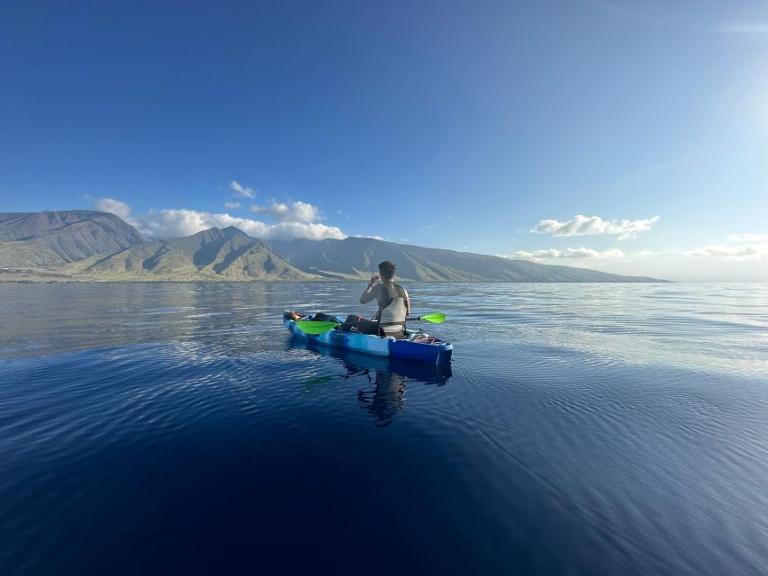 Kayak, Whale Watch And Snorkel At Turtle Town - Looking for whales, turtles, dolphins, and fish