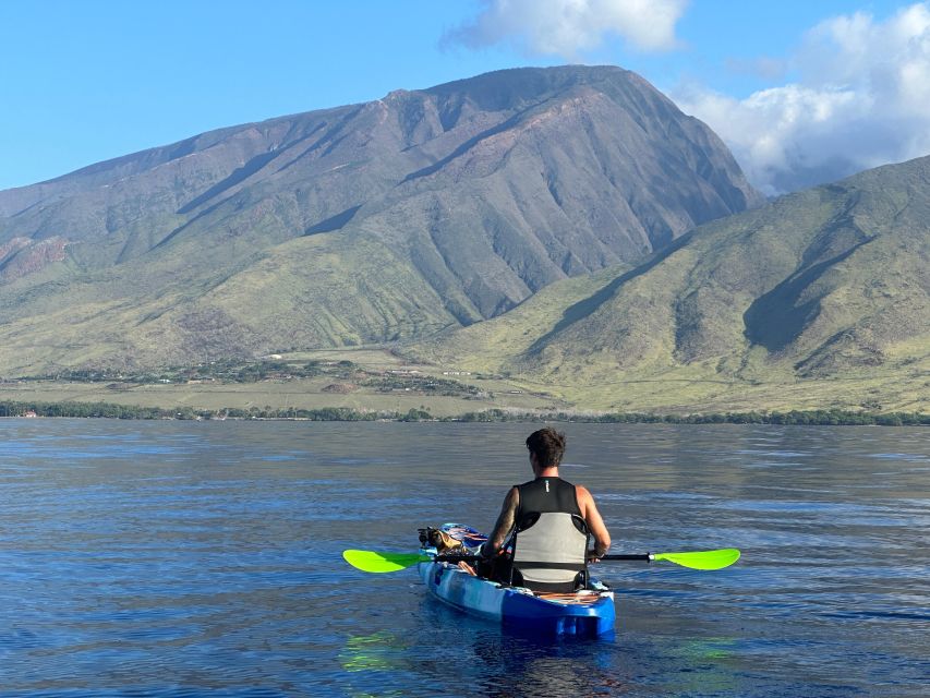 Kayak, Whale Watch And Snorkel At Turtle Town - What the three-hour format means