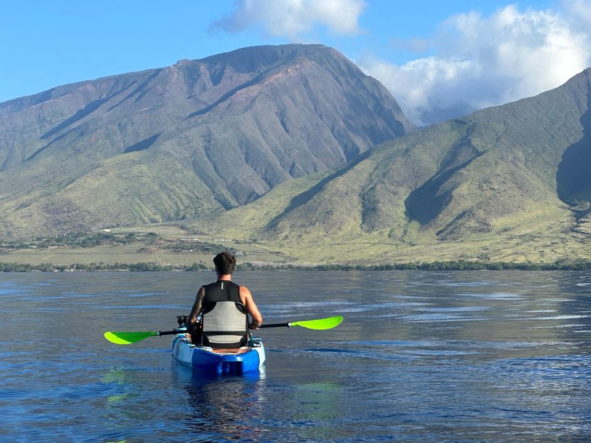 Kayak, Whale Watch And Snorkel At Turtle Town - Who will enjoy this Maui outing most