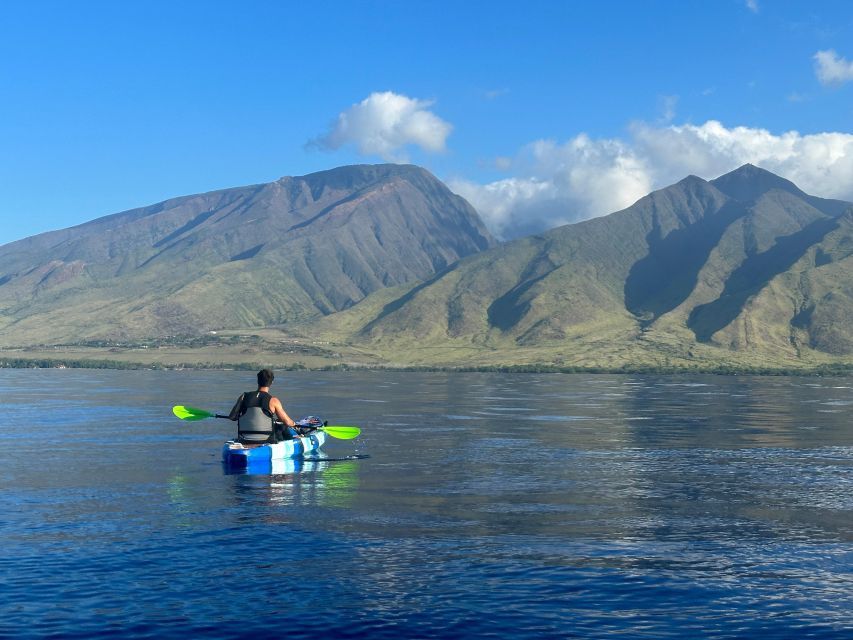 Kayak, Whale Watch And Snorkel At Turtle Town - Starting at Olowalu’s sandy beach