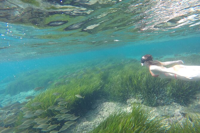 Kayak y snorkell por las mejores calas del Parque Natural Cabo de Gata - Starting at Cabo de Gata with the right expectations
