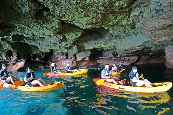 Kayaking Adventure Route with Snorkeling in Mogan Caves - What $62.91 means in practical value