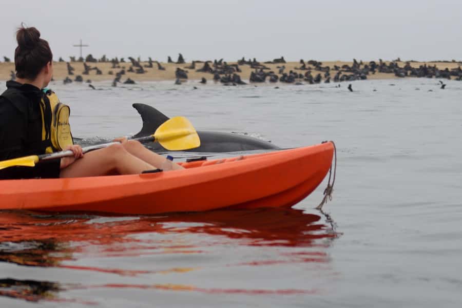 Kayaking and Sandwich Harbour Combo Tour - Two Namibian worlds in one full day