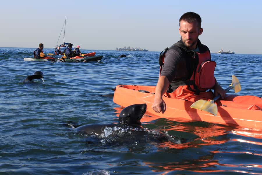 Kayaking and Sandwich Harbour Combo Tour - The scenic drive to Pelican Point
