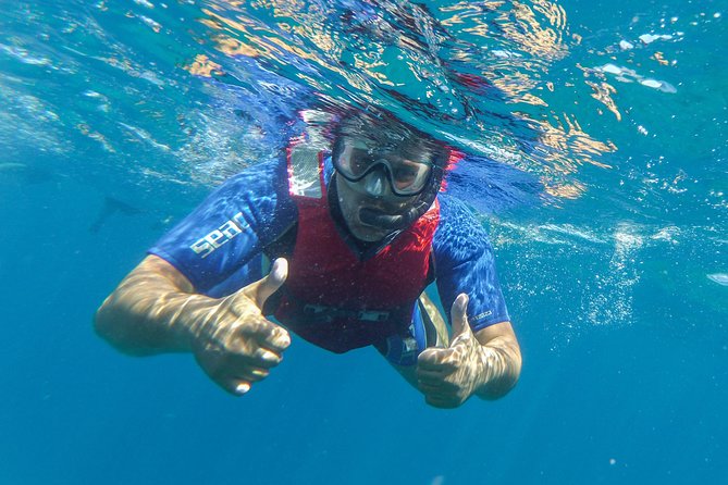 Kayaking and snorkeling - How hard is the kayaking?