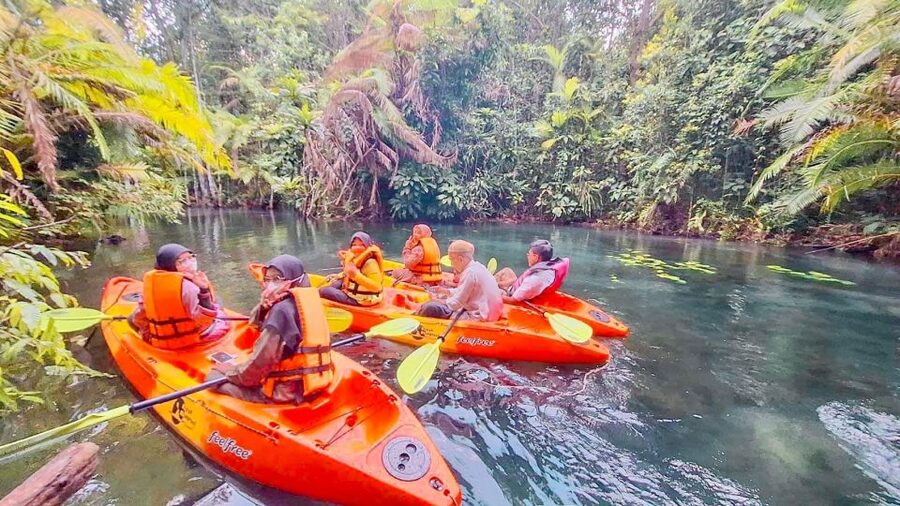Kayaking and swiming klongrood - Paddling through trees, rubber, and mangroves