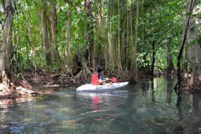 Kayaking and swiming klongrood