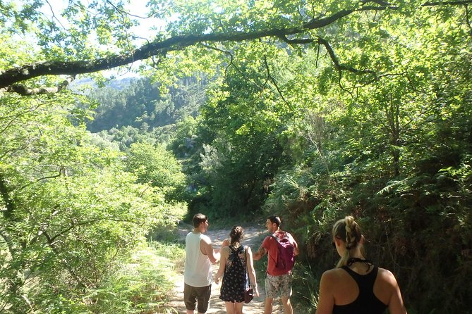 Kayaking and Waterfall in Peneda-Gerês National Park from Porto - The waterfall path and its cold swimming hole