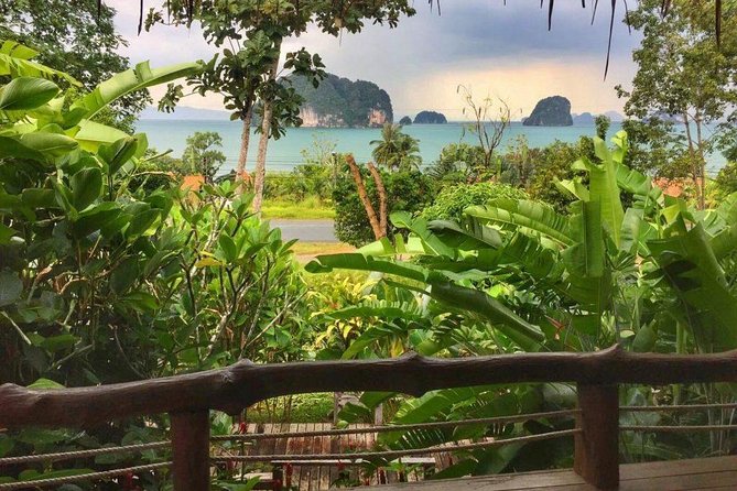Kayaking in Ao Thalane - Discover the Mangrove life - Sa Kaeo Pool among cliffs and caves