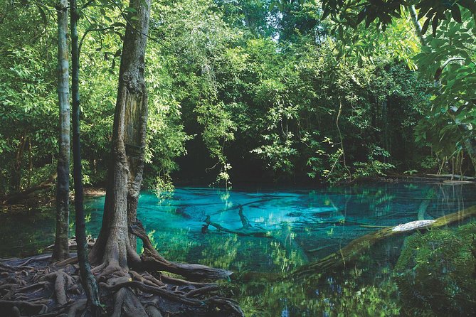 Kayaking in Ao Thalane - Discover the Mangrove life - Thapom Klong Song Nam and the meeting of two waters