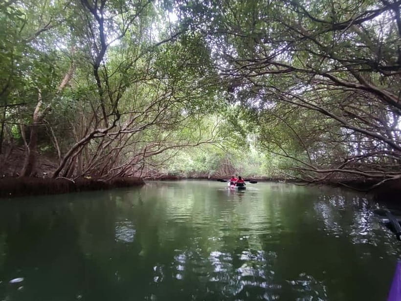 Kayaking in Backwaters of Pondicherry - Key points at a glance