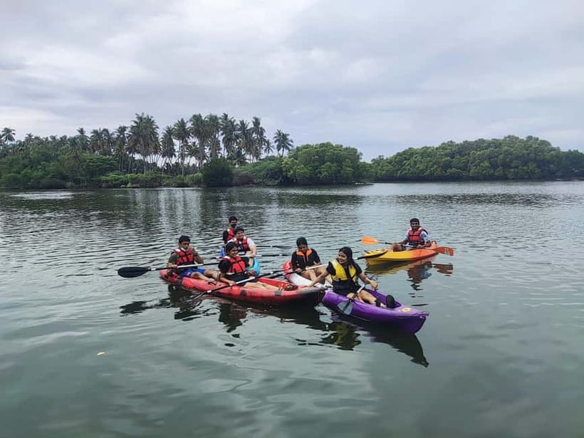 Kayaking in Backwaters of Pondicherry - A quiet side of Pondicherry