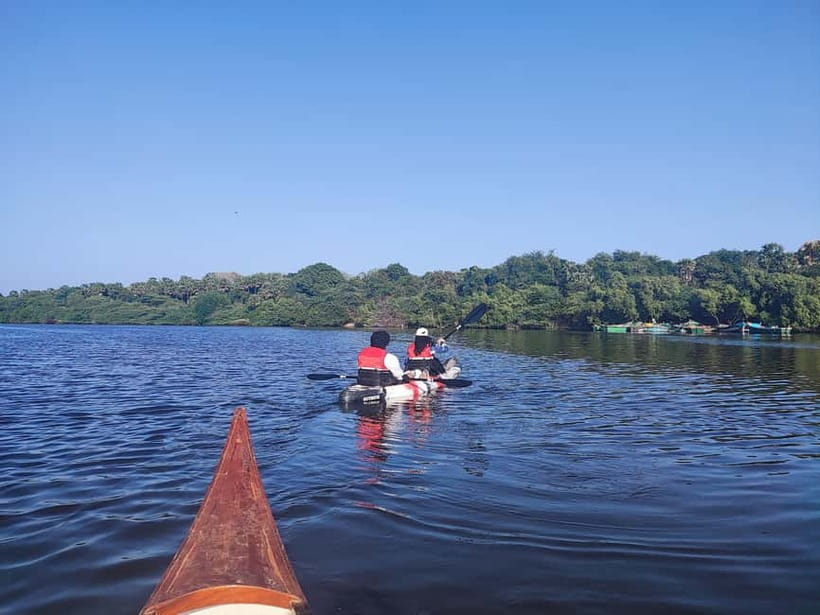 Kayaking in Backwaters of Pondicherry - One hour on the Ariyankuppam River