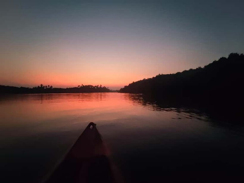Kayaking in Backwaters of Pondicherry - What the guide adds