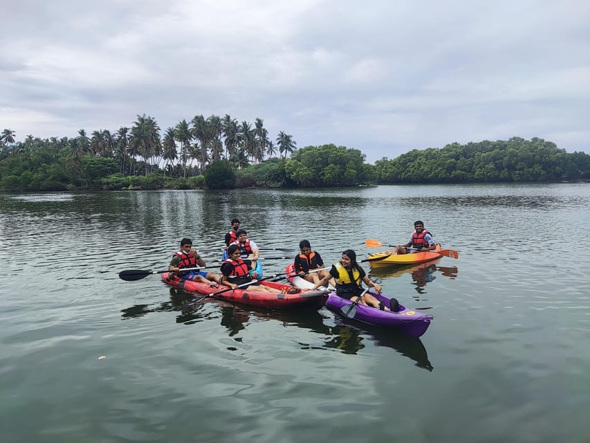 Kayaking in Backwaters of Pondicherry - Why the $10 price works