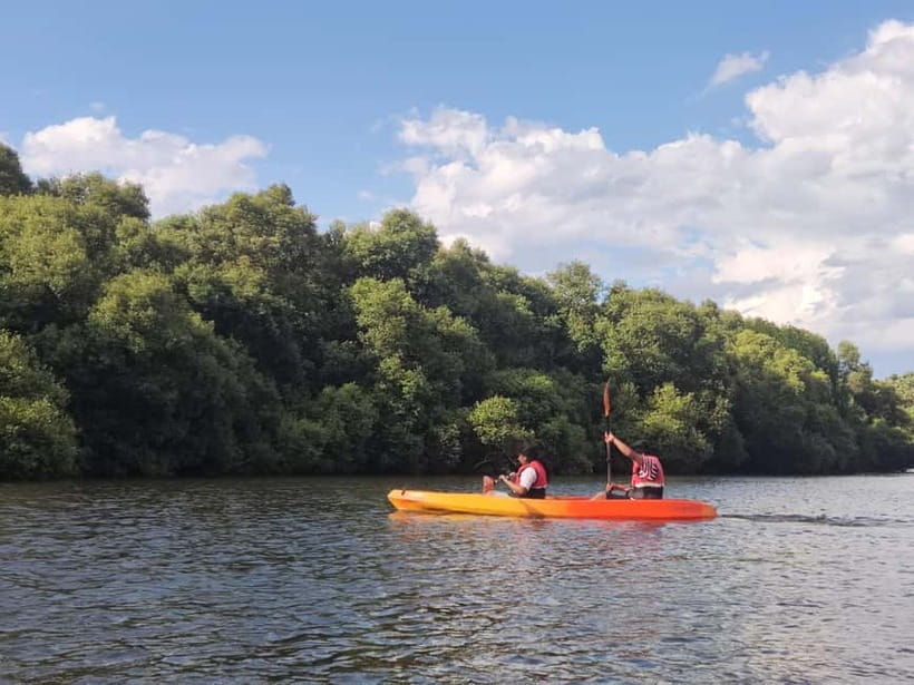 Kayaking in Backwaters of Pondicherry - Who will enjoy this paddle
