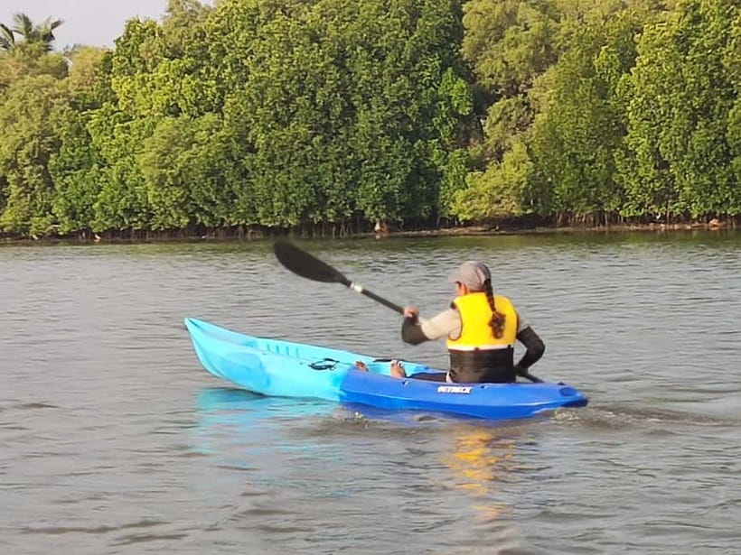 Kayaking in Backwaters of Pondicherry - How this compares with a typical sightseeing stop