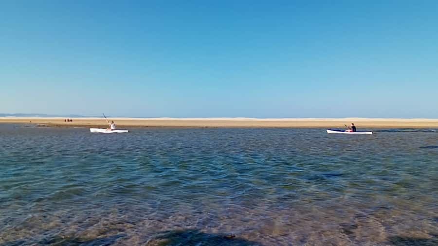 Kayaking Jeffreys Bay - Nature reserve views and possible wildlife