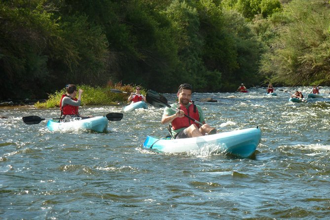 Kayaking the Salt River Foxtail Trip - The wildlife trip and the weekend crowd