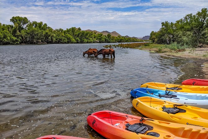 Kayaking the Salt River Foxtail Trip - Reaching Foxtail and getting back to the ranch