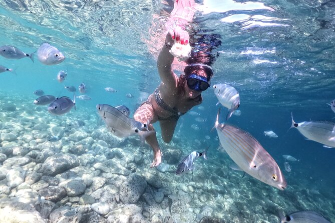Kayaking to Island Saint Jerolim with snorkeling activitie - A local beer and a relaxed finish