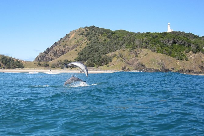 Kayaking with Dolphins in Byron Bay Guided Tour - The safety briefing matters more than the brochure suggests