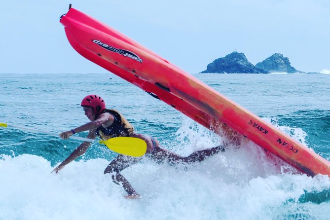Kayaking with Dolphins in Byron Bay Guided Tour - Who will enjoy this most?