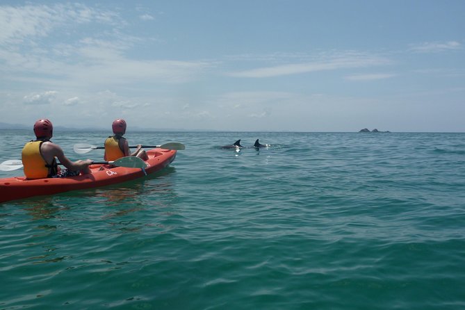 Kayaking with Dolphins in Byron Bay Guided Tour - Paddling through Cape Byron Marine Park
