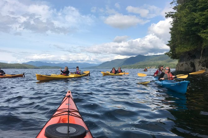 Ketchikan Kayak Eco-Tour - Bald Eagles, Eaglets, and the First Island