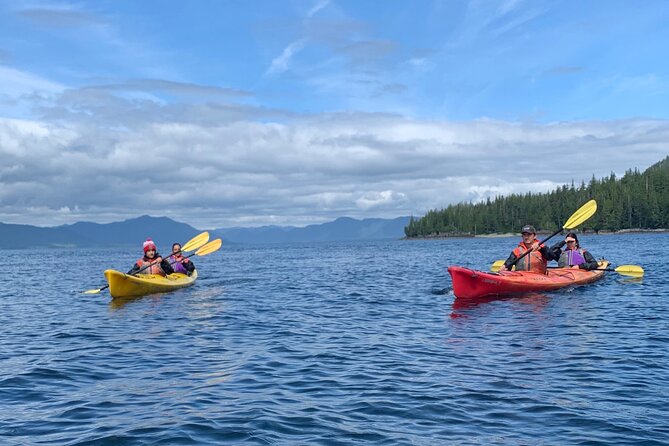 Ketchikan Kayak Eco-Tour - Sea Lions, Seals, and the Chance of Whales