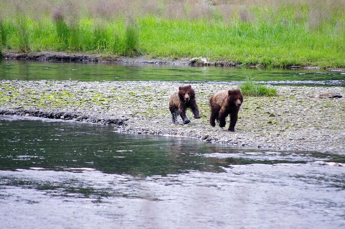 Ketchikan Shore Excursion: Eagle Island Sea Kayaking - Key points before you book