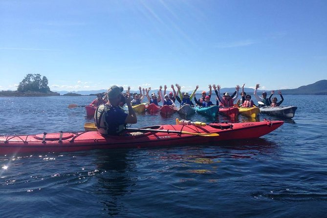 Ketchikan Shore Excursion: Eagle Island Sea Kayaking - Wildlife you might see from the boat