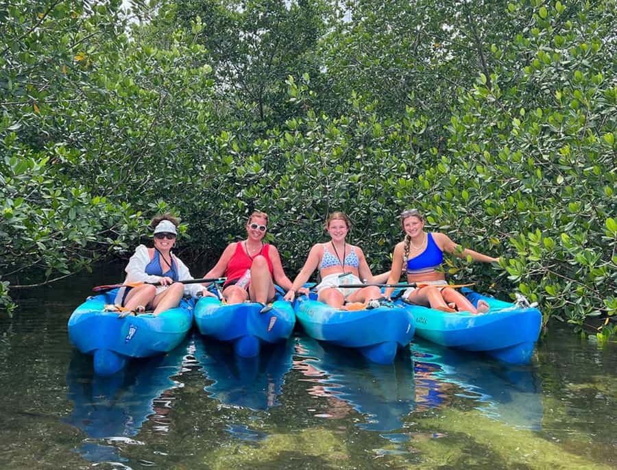Key West: 2-hour Mangrove Kayak Tour - Getting comfortable in a single or tandem kayak