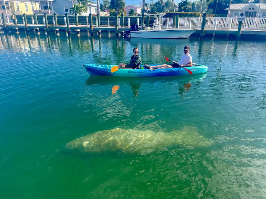 Key West: 2-hour Mangrove Kayak Tour - A two-hour outing at Cow Key Marina