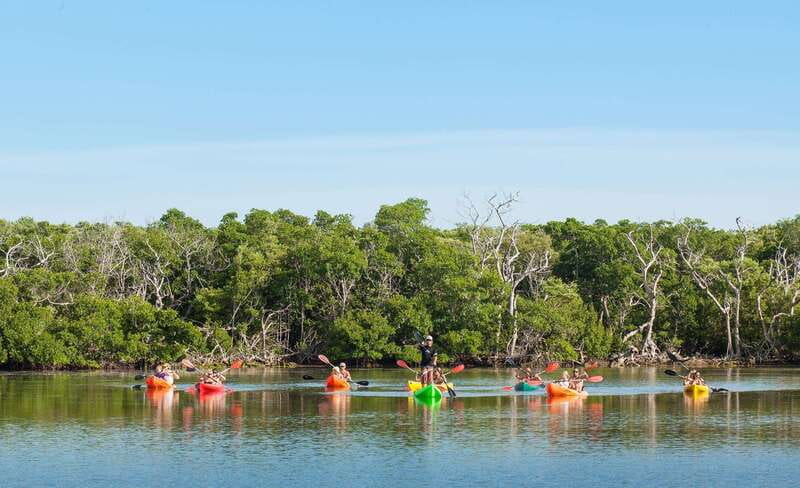 Key West Afternoon Sail, Snorkel, Kayak & Sunset Excursion - Kayaking through mangrove channels