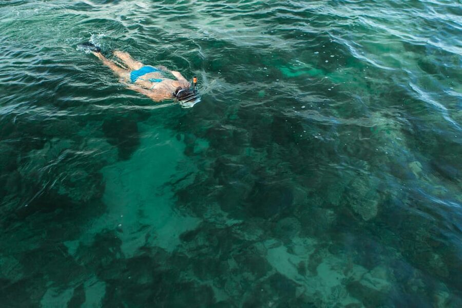 Key West Afternoon Sail, Snorkel, Kayak & Sunset Excursion - Snacks, drinks, and the value of $133