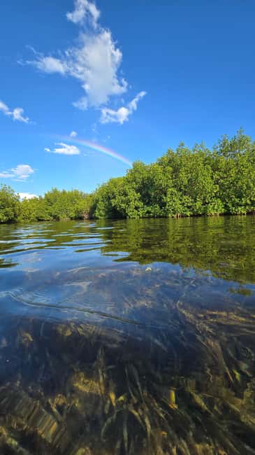 Key West: Kayak or Paddleboard Rental - Why Geiger Key is worth the short outing