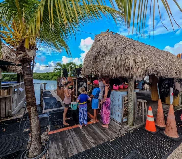 Key West: Kayak or Paddleboard Rental - Choosing between a kayak and a paddleboard