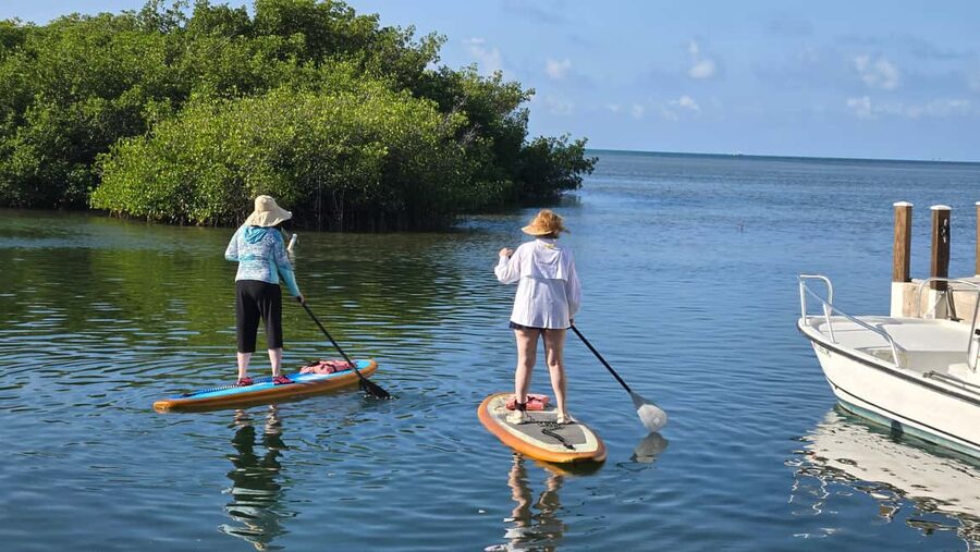 Key West: Kayak or Paddleboard Rental - Following the mangrove trails